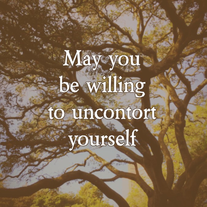 Photo: May you be willing to uncontort yourself.
